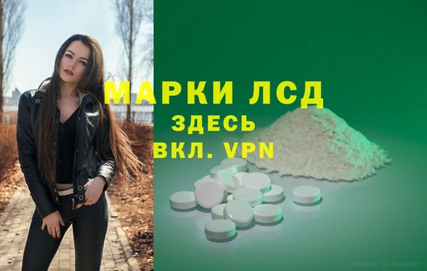 apvp Каменногорск