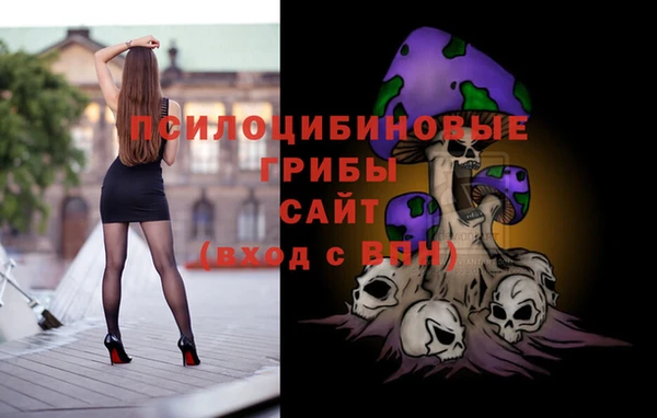 гидропоника Каменск-Шахтинский