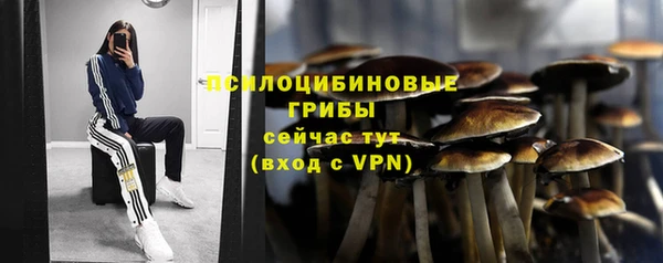 скорость Каменка