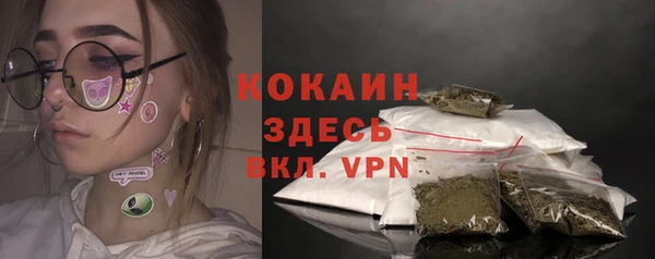 apvp Каменногорск