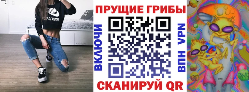 Псилоцибиновые грибы Magic Shrooms  Купить где  Вязники 
